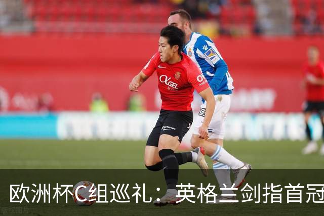 欧洲杯C组巡礼：英格兰剑指首冠 丹麦难演童话